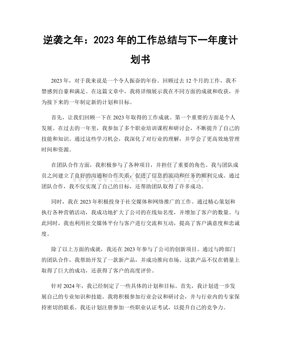 逆袭之年：2023年的工作总结与下一年度计划书.docx_第1页