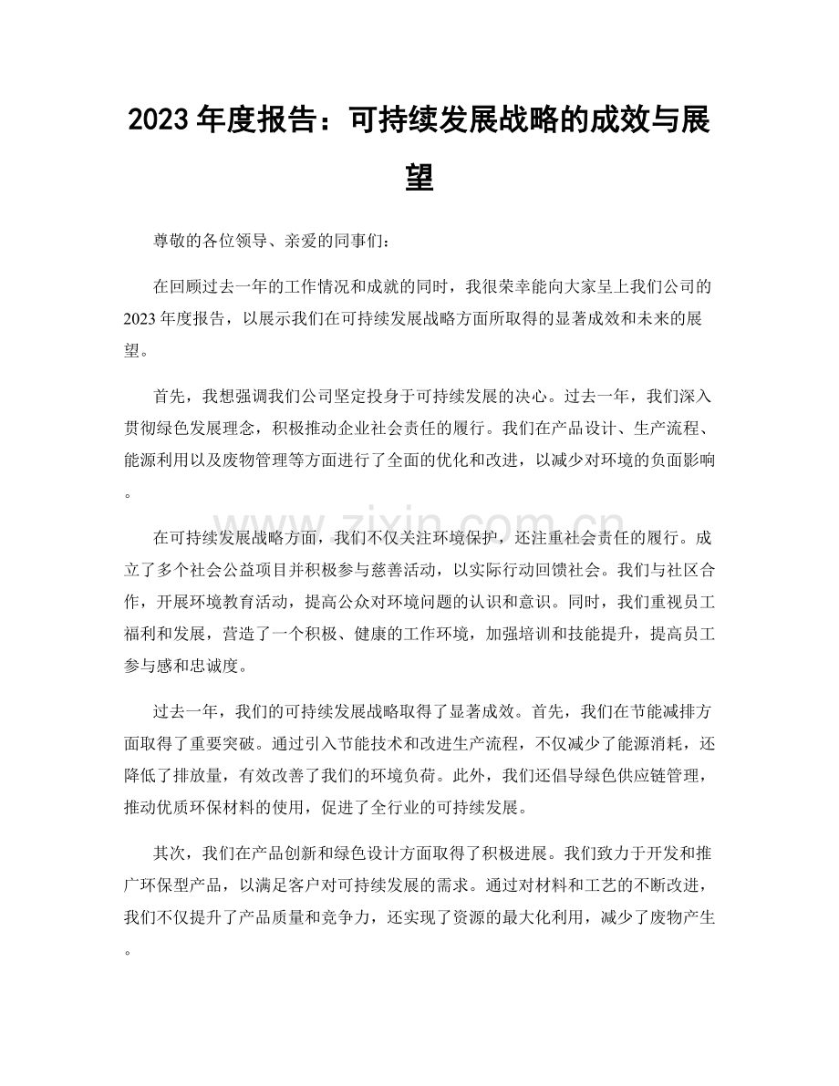 2023年度报告：可持续发展战略的成效与展望.docx_第1页