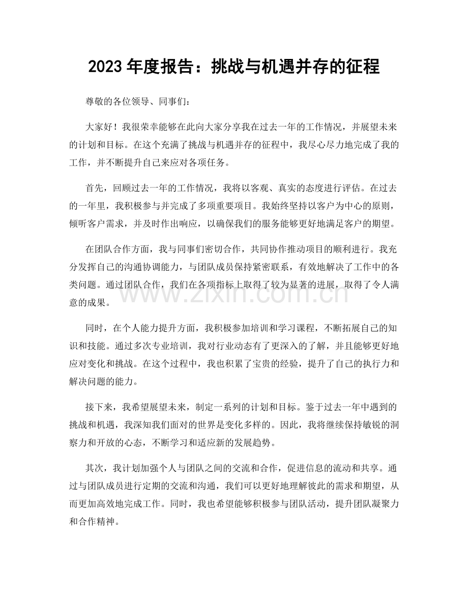 2023年度报告：挑战与机遇并存的征程.docx_第1页