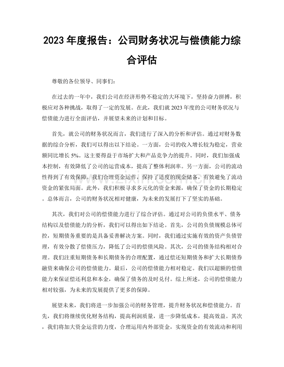 2023年度报告：公司财务状况与偿债能力综合评估.docx_第1页