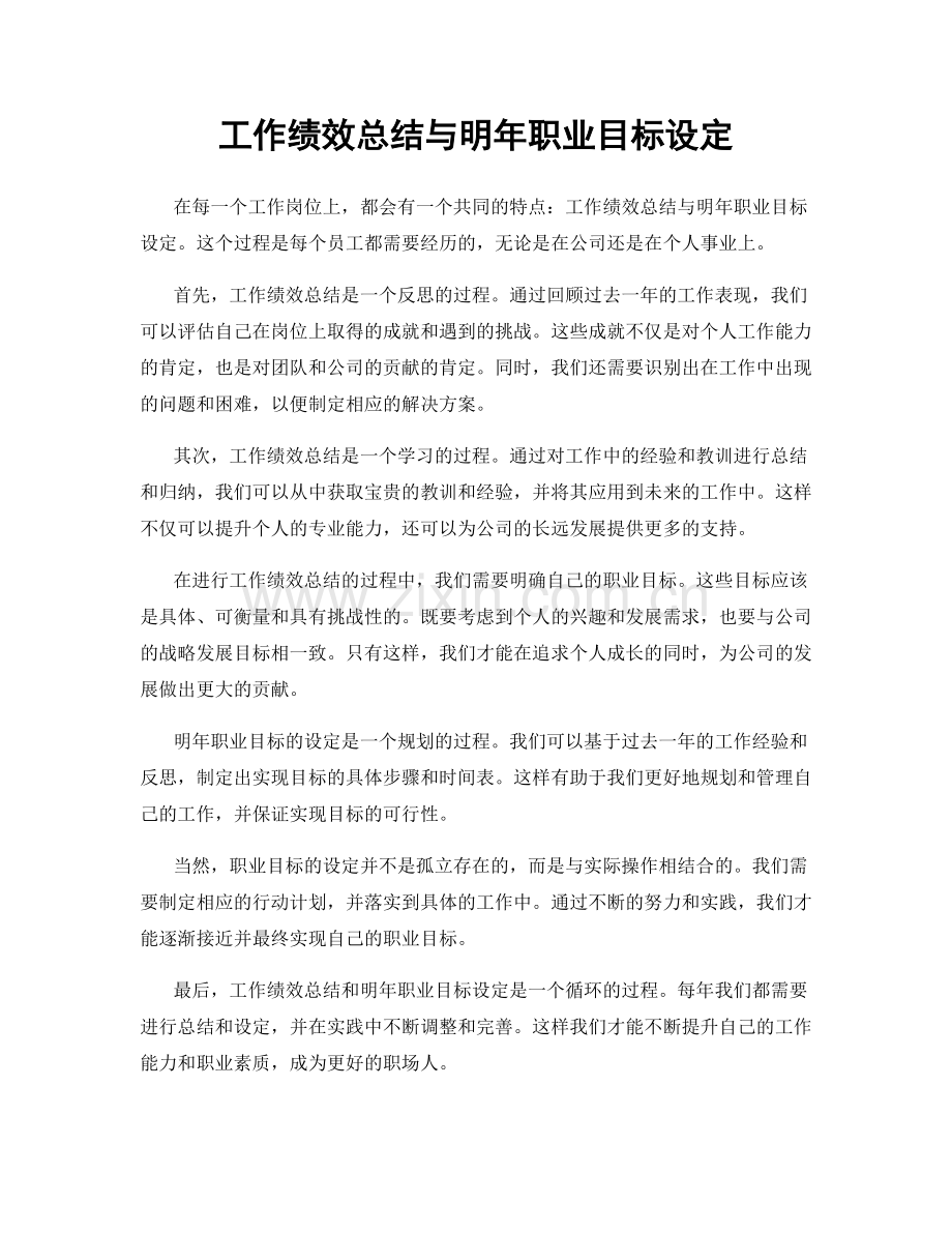 工作绩效总结与明年职业目标设定.docx_第1页