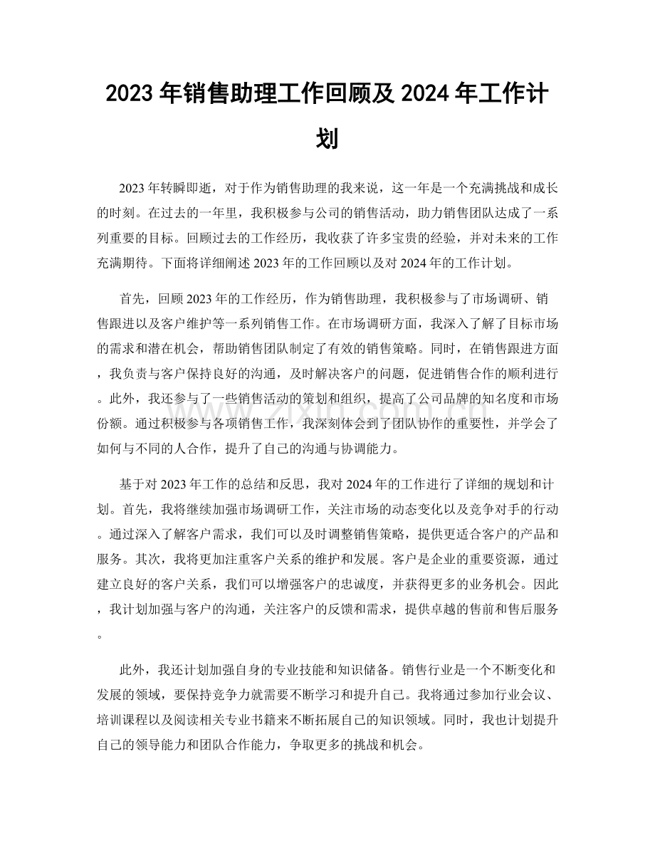 2023年销售助理工作回顾及2024年工作计划.docx_第1页