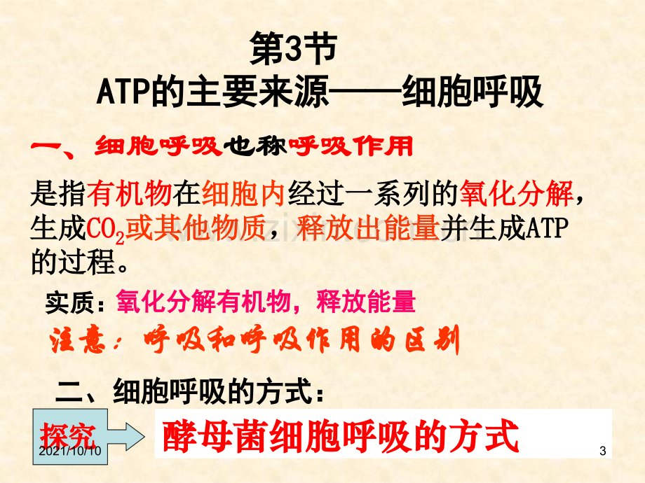 【生物】5.3-ATP的主要来源——细胞呼吸-课件1(人教版必修1).ppt_第3页