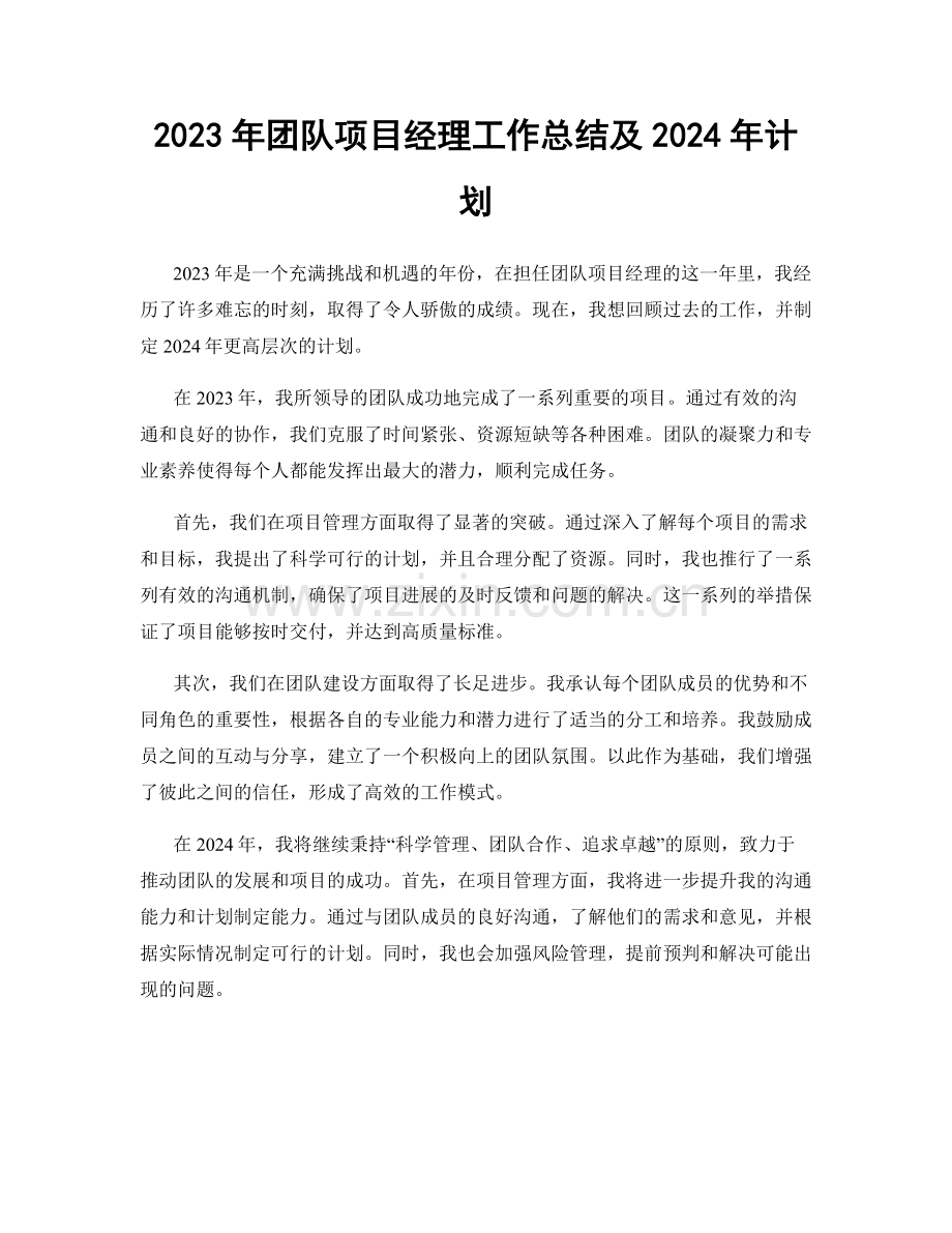 2023年团队项目经理工作总结及2024年计划.docx_第1页