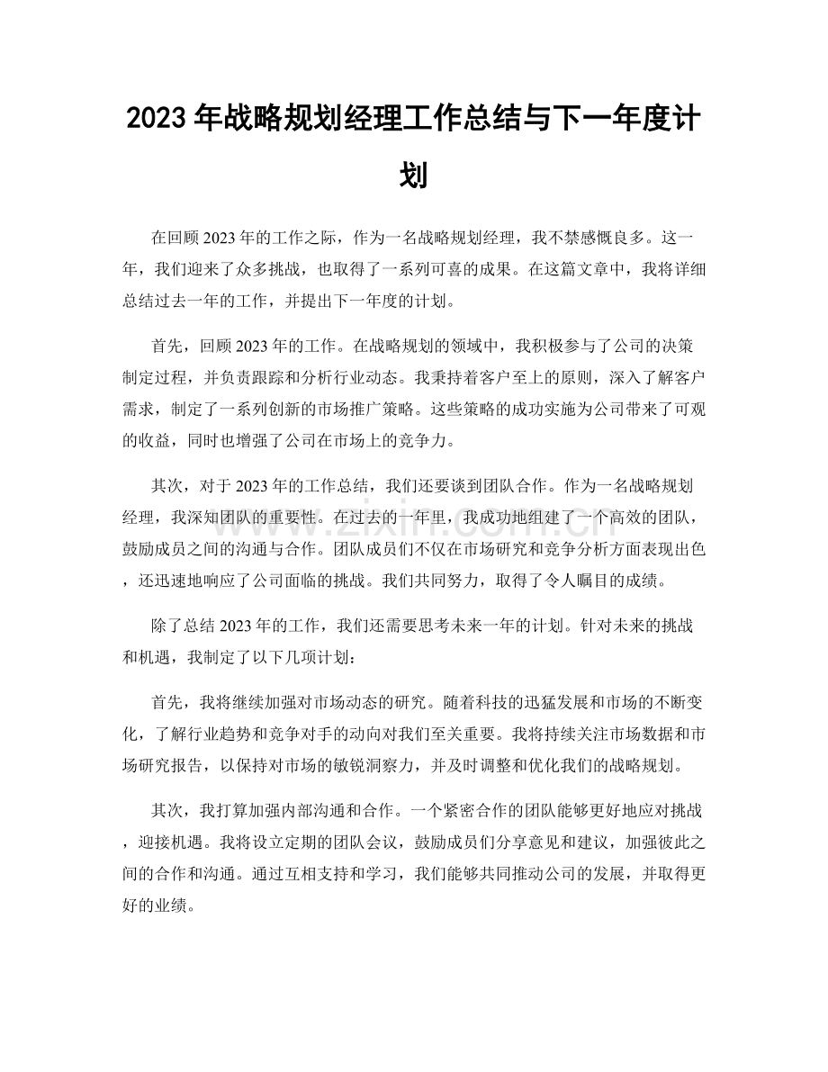 2023年战略规划经理工作总结与下一年度计划.docx_第1页