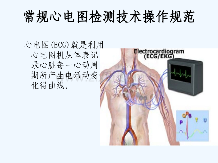 心电图操作规范ppt.pptx_第3页