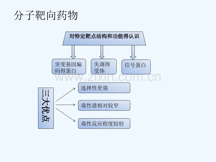 肿瘤的分子靶向治疗-PPT.pptx_第3页