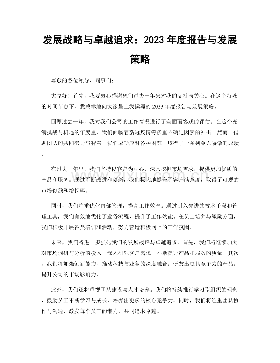 发展战略与卓越追求：2023年度报告与发展策略.docx_第1页