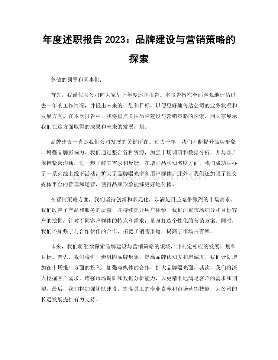 年度述职报告2023：品牌建设与营销策略的探索.docx_第1页