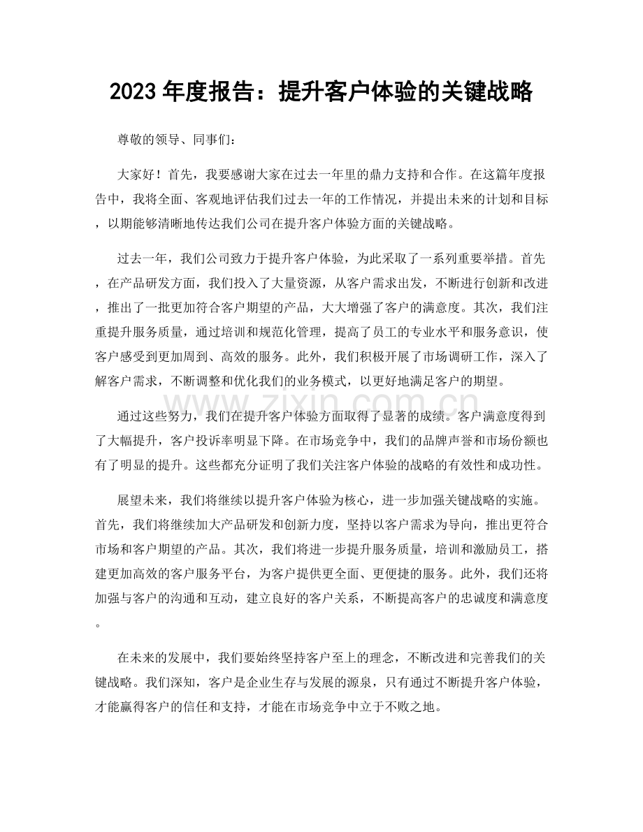 2023年度报告：提升客户体验的关键战略.docx_第1页