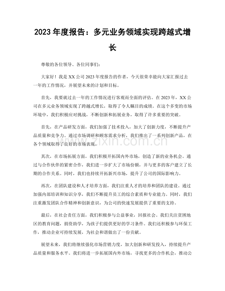 2023年度报告：多元业务领域实现跨越式增长.docx_第1页