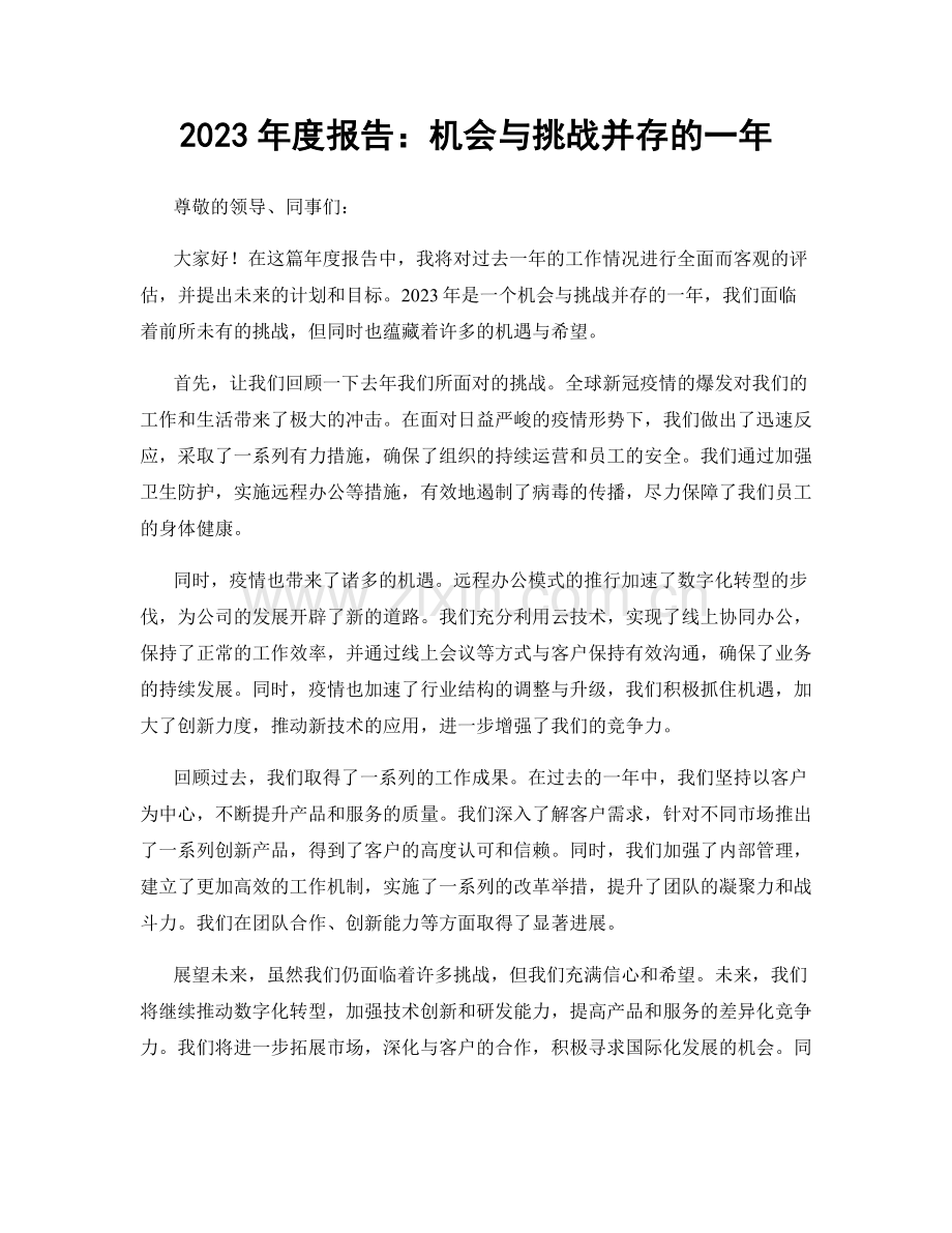 2023年度报告：机会与挑战并存的一年.docx_第1页