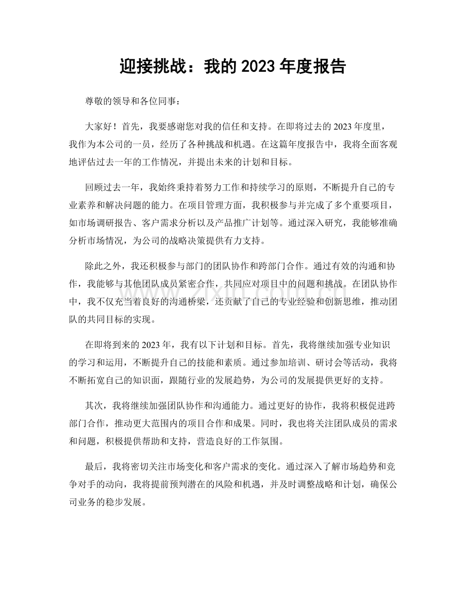 迎接挑战：我的2023年度报告.docx_第1页