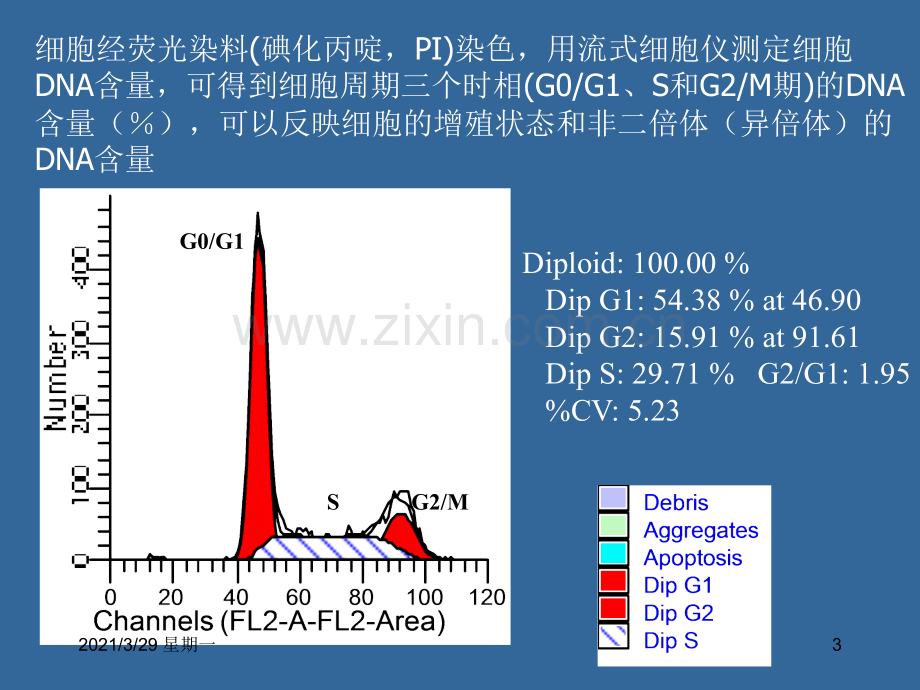 用ModFit软件分析DNA倍体和细胞周期.ppt_第3页