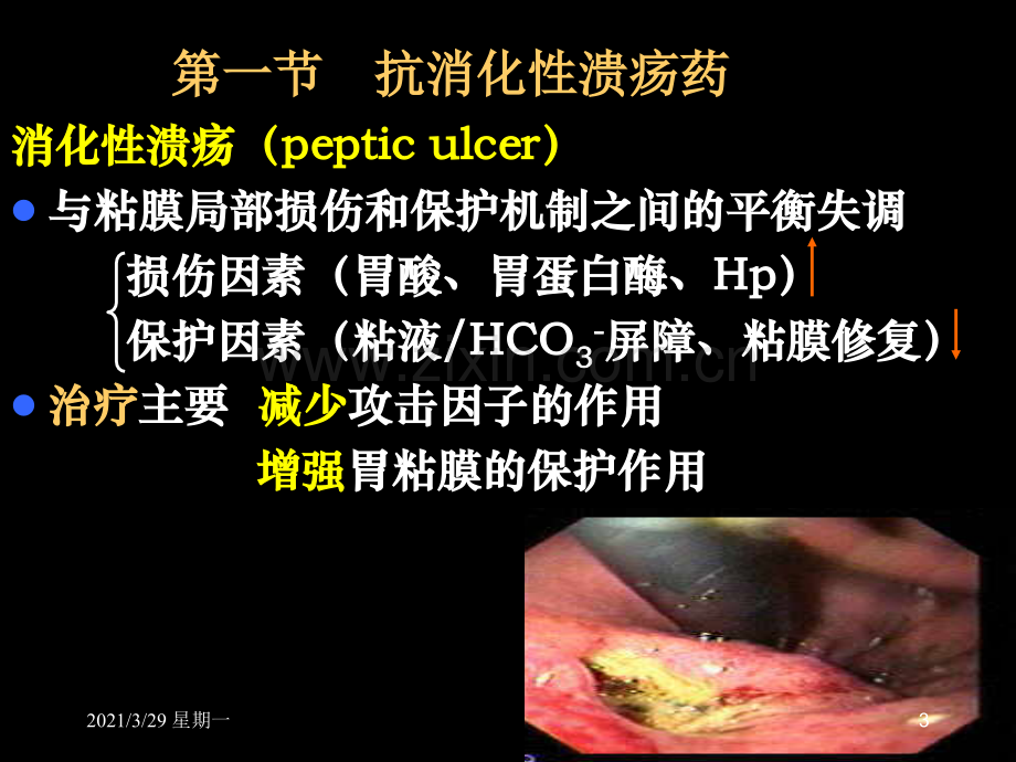 药理学作用于消化系统的药物课件.ppt_第3页