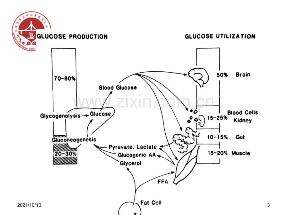 SGLT2类降糖药物.ppt_第3页