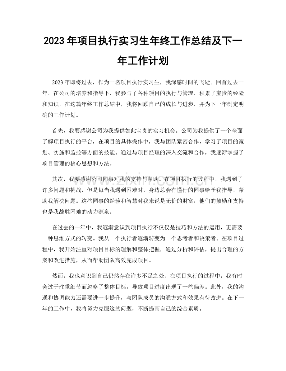 2023年项目执行实习生年终工作总结及下一年工作计划.docx_第1页