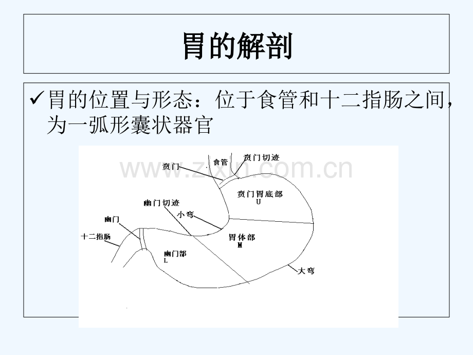 胃十二指肠溃疡穿孔护理-PPT.ppt_第3页