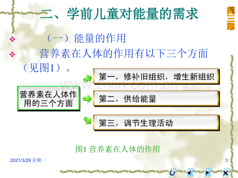 学前儿童营养卫生与保健.ppt_第3页