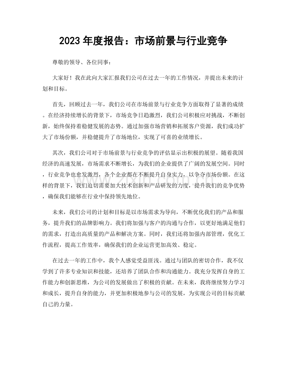 2023年度报告：市场前景与行业竞争.docx_第1页