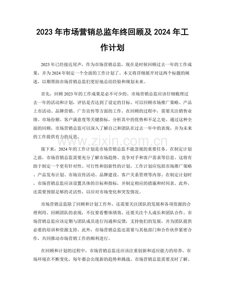 2023年市场营销总监年终回顾及2024年工作计划.docx_第1页