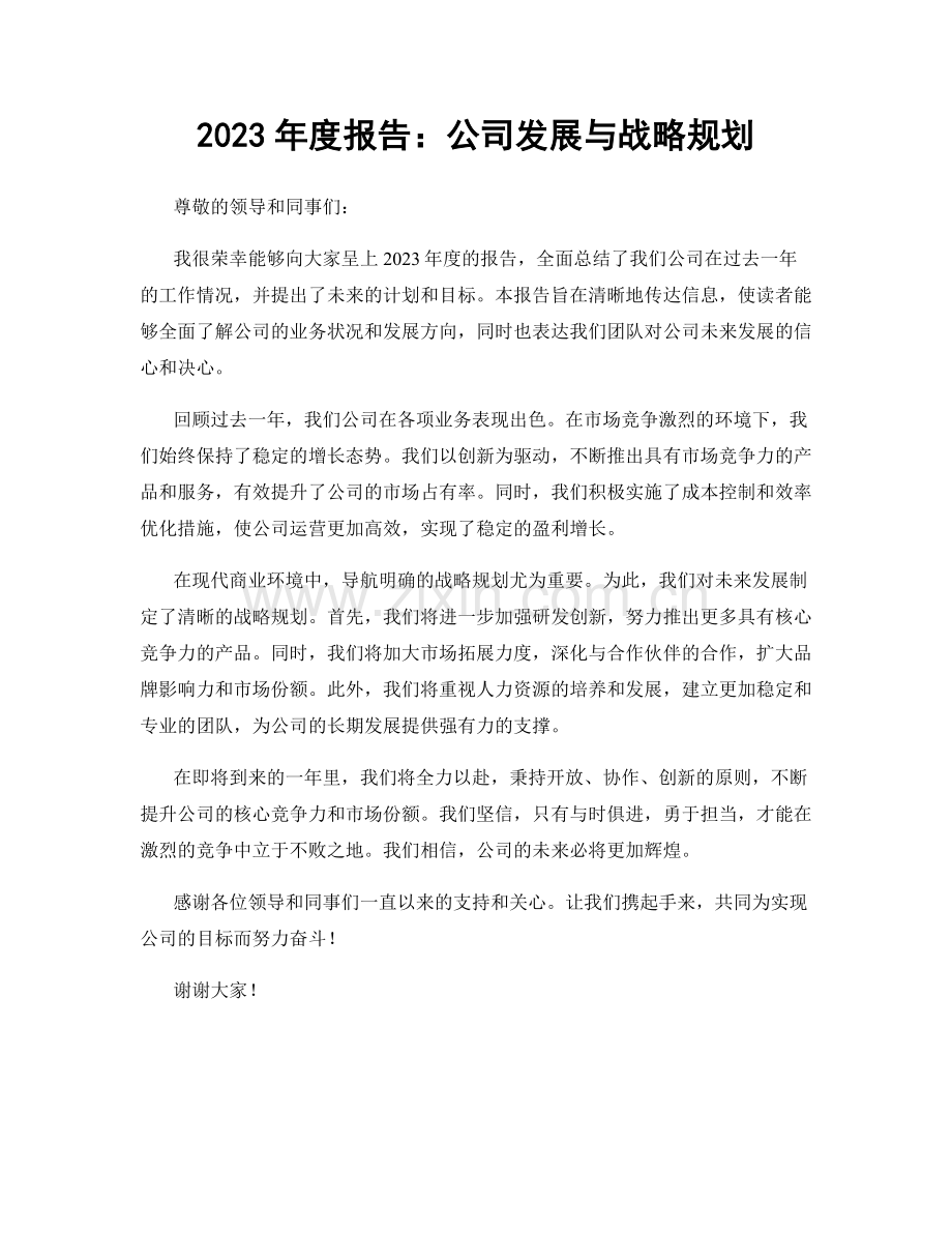 2023年度报告：公司发展与战略规划.docx_第1页