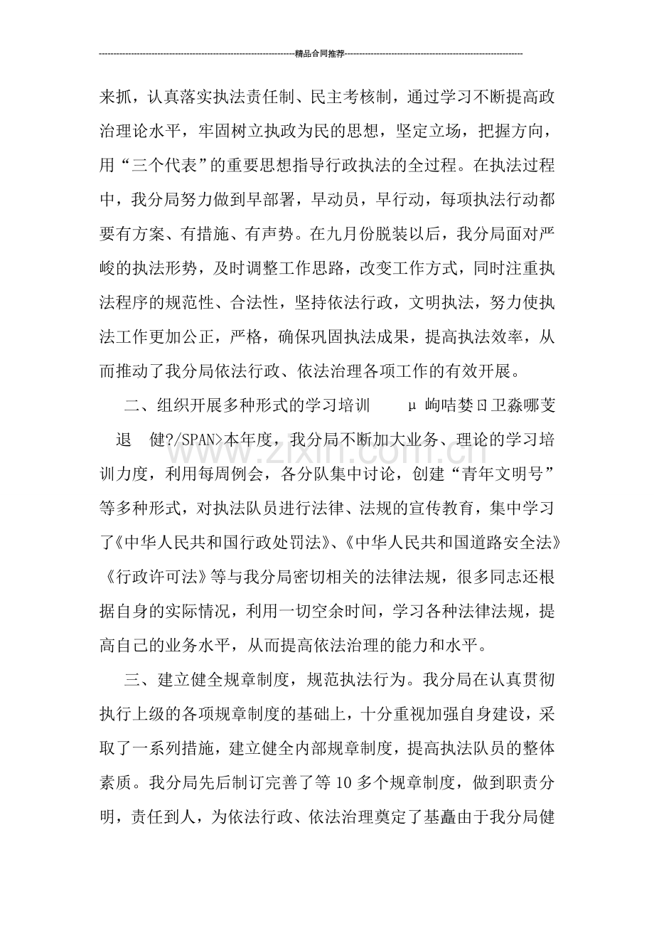 行政执法分局年度工作总结.doc_第2页