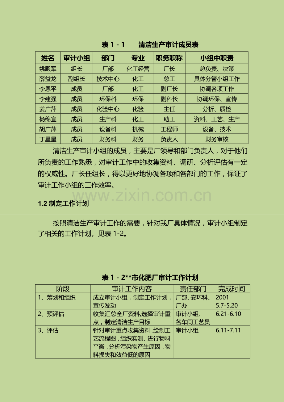 化肥厂清洁生产审计报告.doc_第3页