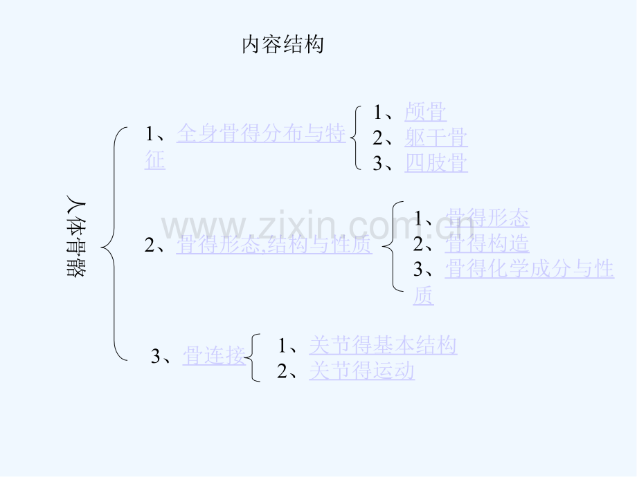 人体骨骼全身骨的分布与特征.pptx_第2页