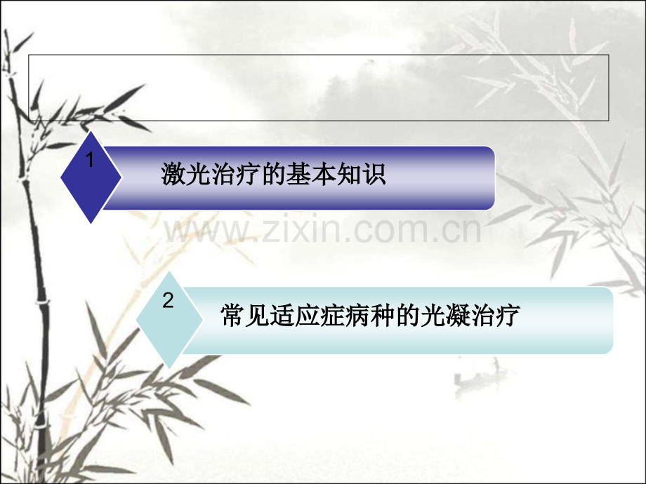 视网膜激光课件.pptx_第2页