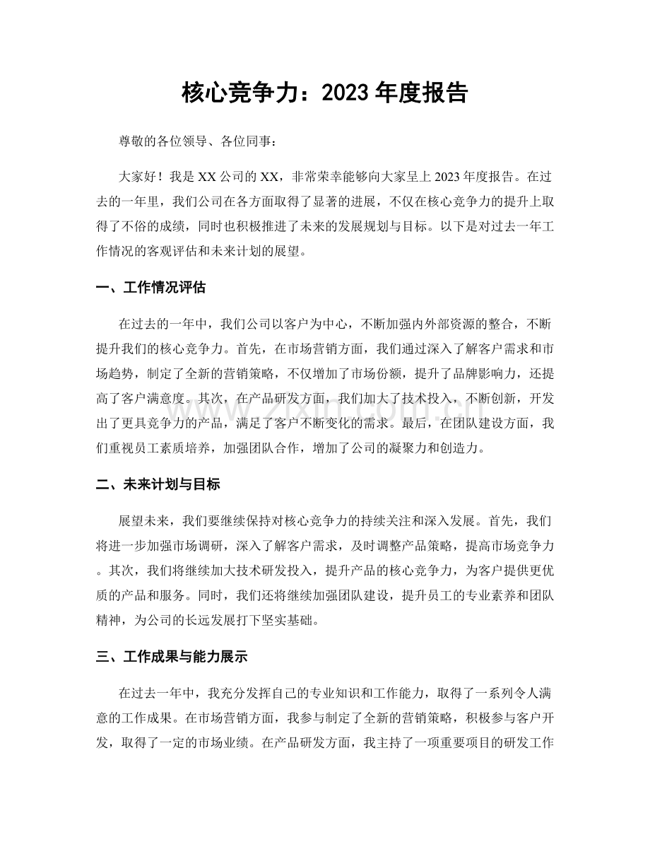 核心竞争力：2023年度报告.docx_第1页