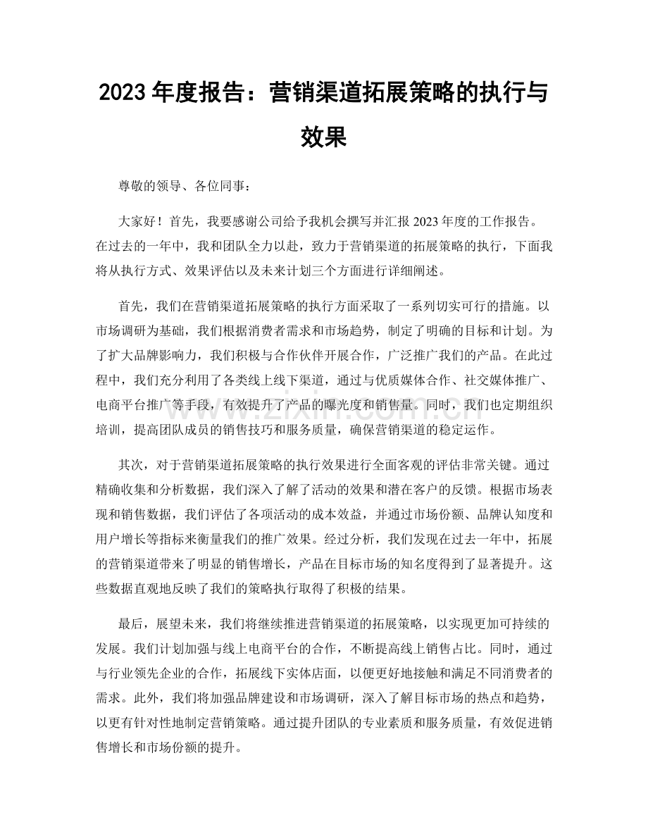 2023年度报告：营销渠道拓展策略的执行与效果.docx_第1页