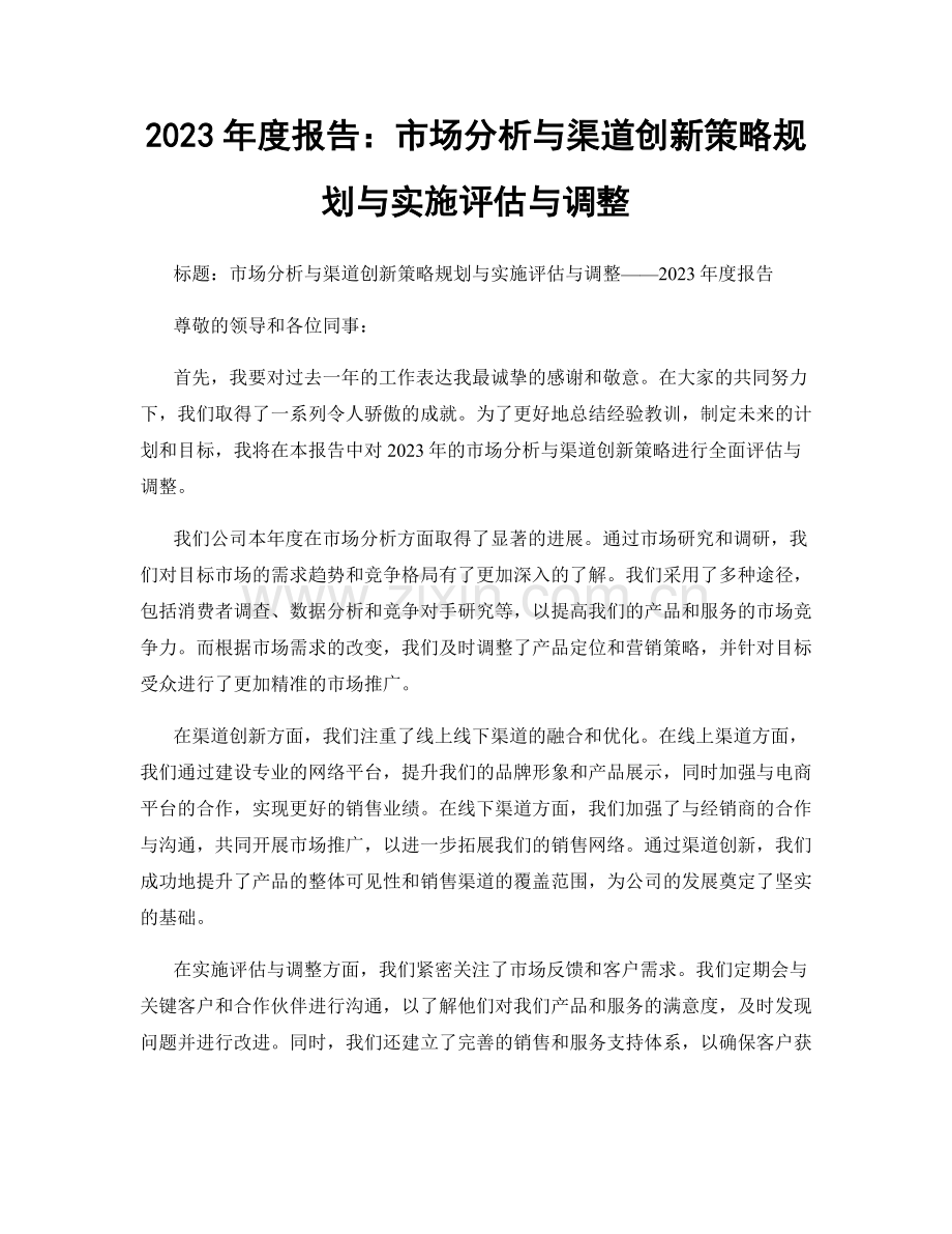 2023年度报告：市场分析与渠道创新策略规划与实施评估与调整.docx_第1页