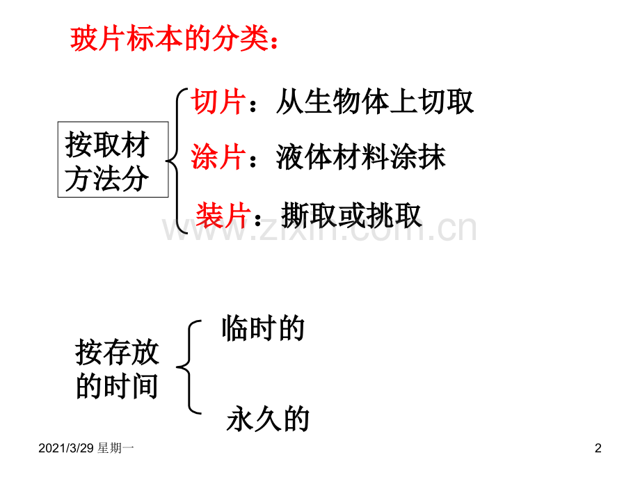 人教版七年级上册生物植物细胞.ppt_第2页