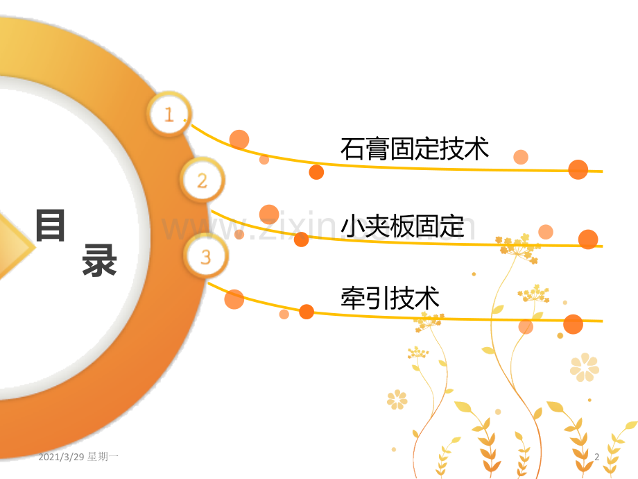 骨科常用治疗技术.ppt_第2页