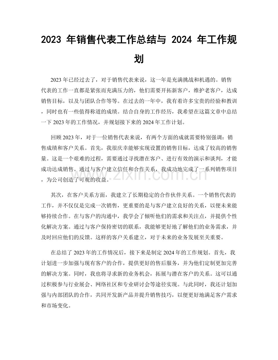 2023 年销售代表工作总结与 2024 年工作规划.docx_第1页