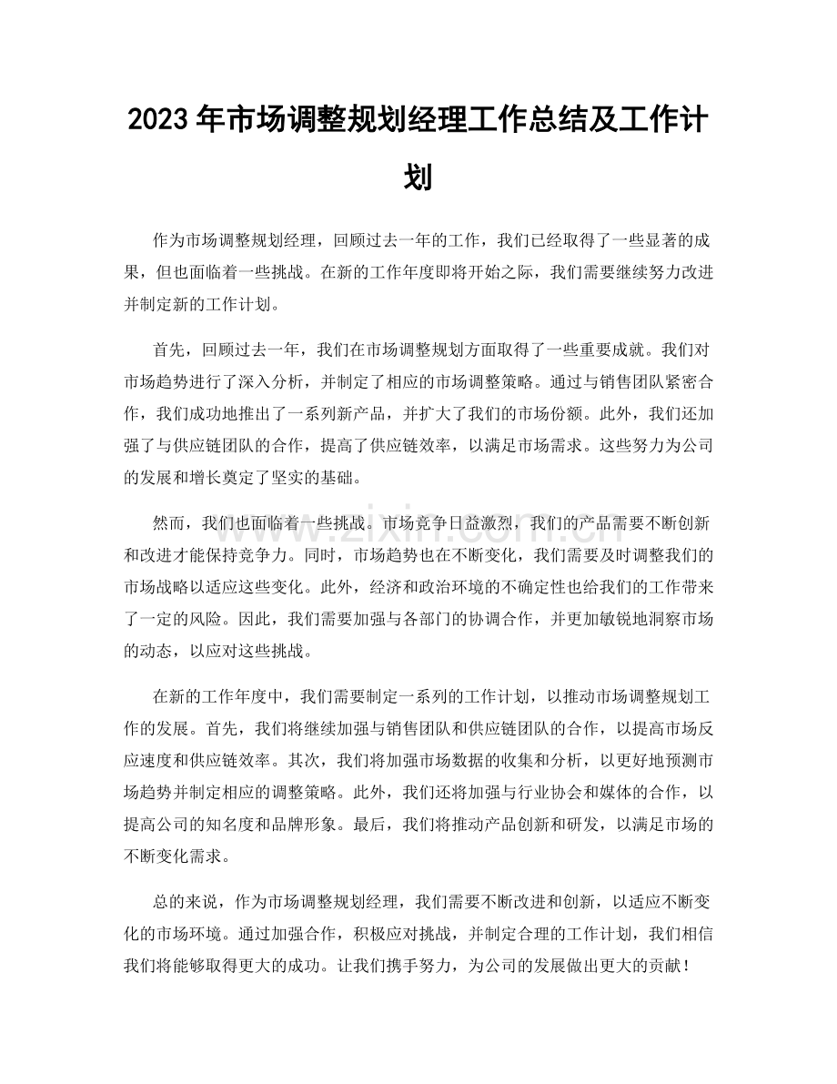 2023年市场调整规划经理工作总结及工作计划.docx_第1页