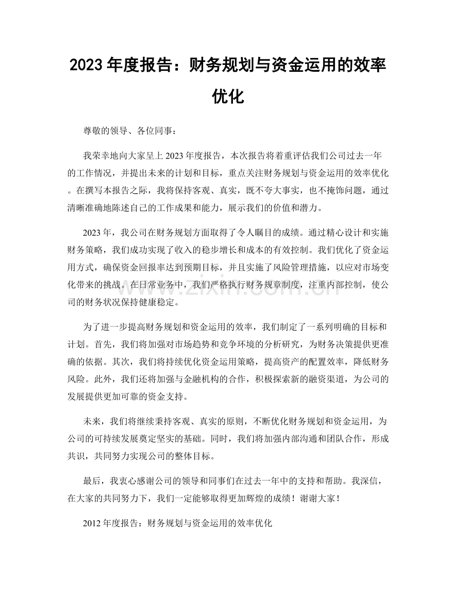 2023年度报告：财务规划与资金运用的效率优化.docx_第1页