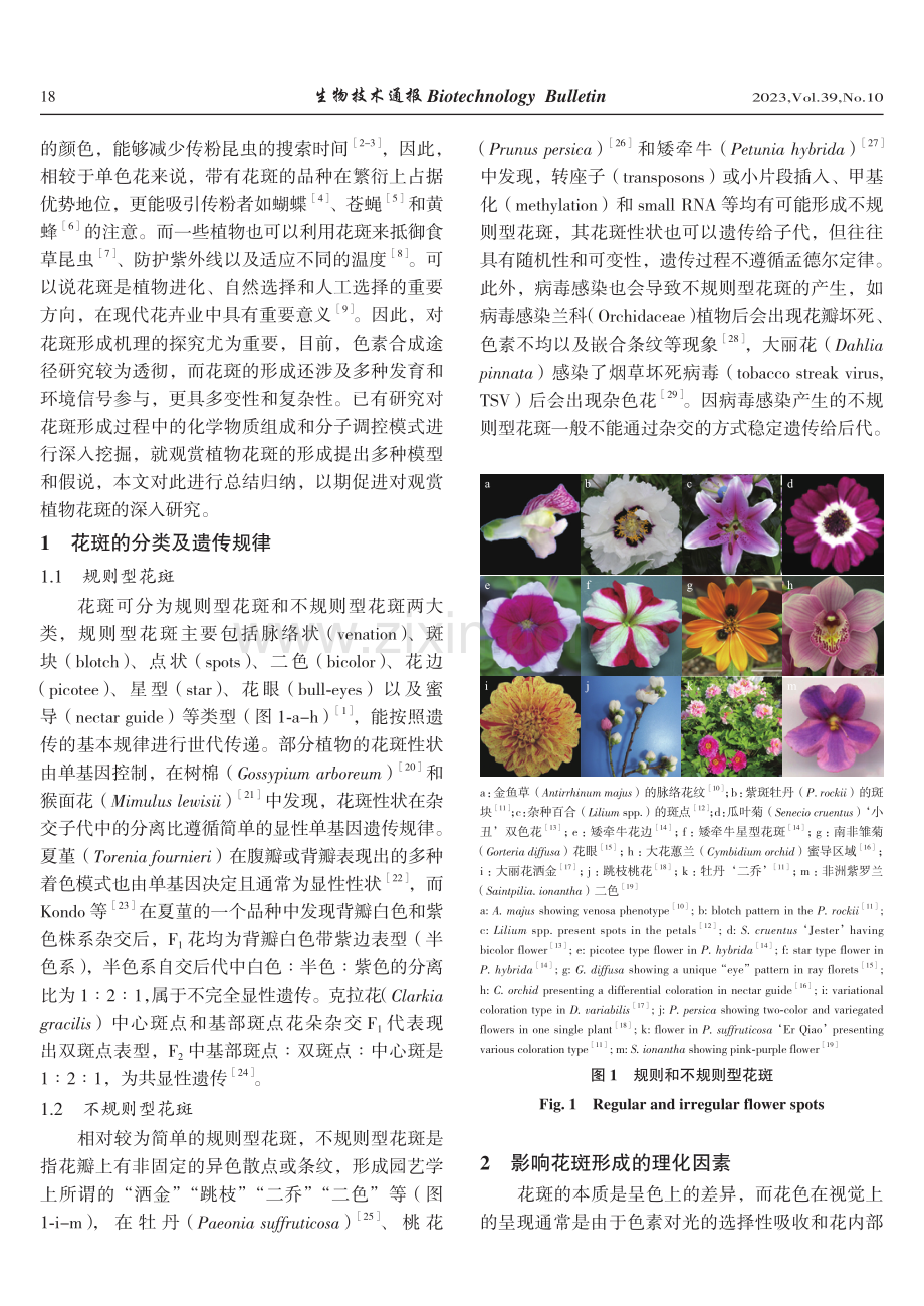 观赏植物花斑形成调控机制的研究进展.pdf_第2页