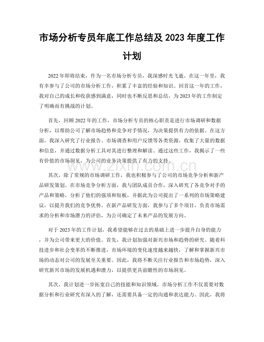 市场分析专员年底工作总结及2023年度工作计划.docx_第1页