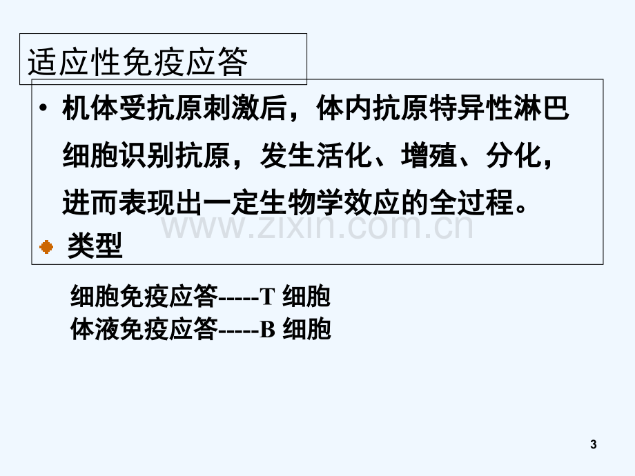 [免疫学]T细胞应答-PPT.ppt_第3页