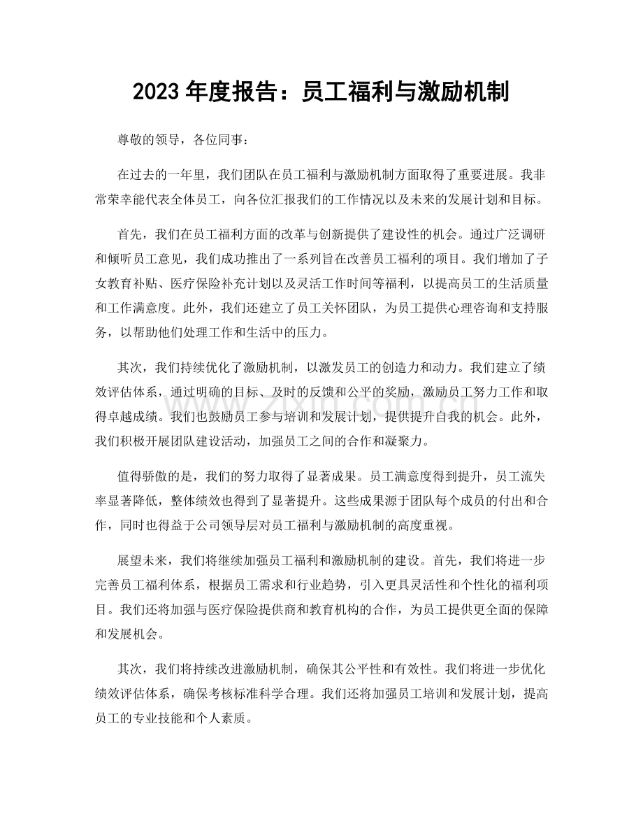 2023年度报告：员工福利与激励机制.docx_第1页