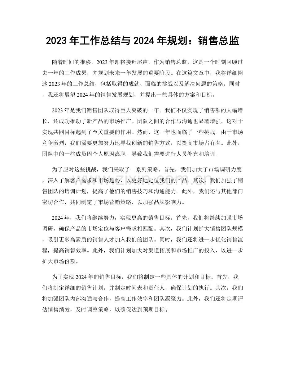 2023年工作总结与2024年规划：销售总监.docx_第1页