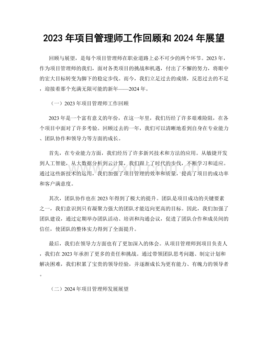 2023年项目管理师工作回顾和2024年展望.docx_第1页