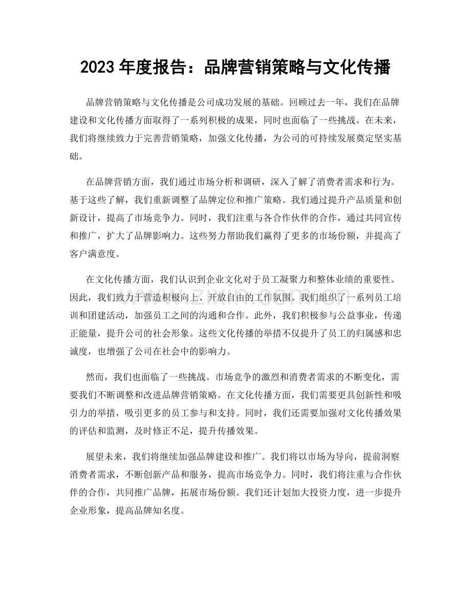 2023年度报告：品牌营销策略与文化传播.docx_第1页