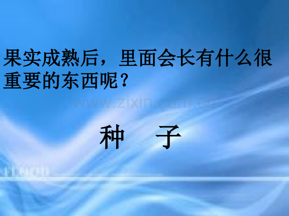 教科版小学科学四年级下册《把种子散播到远处》课件-PPT.ppt_第3页