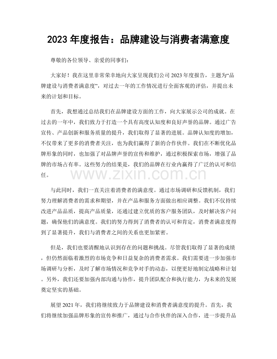 2023年度报告：品牌建设与消费者满意度.docx_第1页