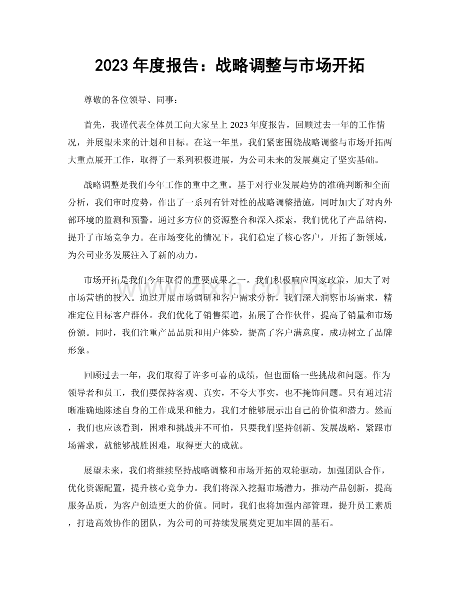 2023年度报告：战略调整与市场开拓.docx_第1页