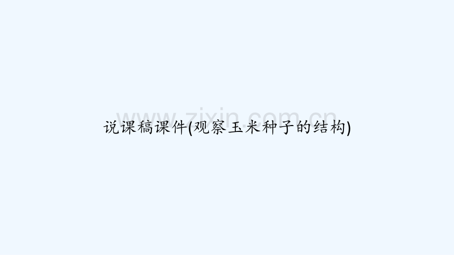 说课稿课件(观察玉米种子的结构)-PPT.ppt_第1页