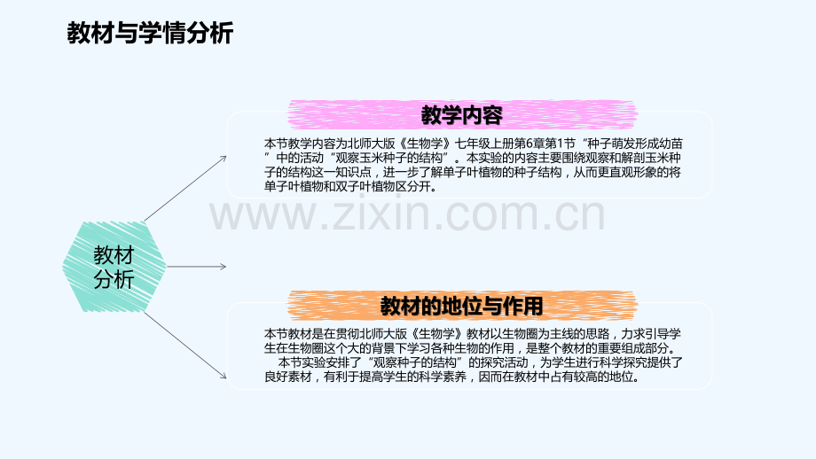 说课稿课件(观察玉米种子的结构)-PPT.ppt_第3页